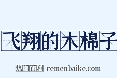 飞翔的木棉子是什么意思的图片